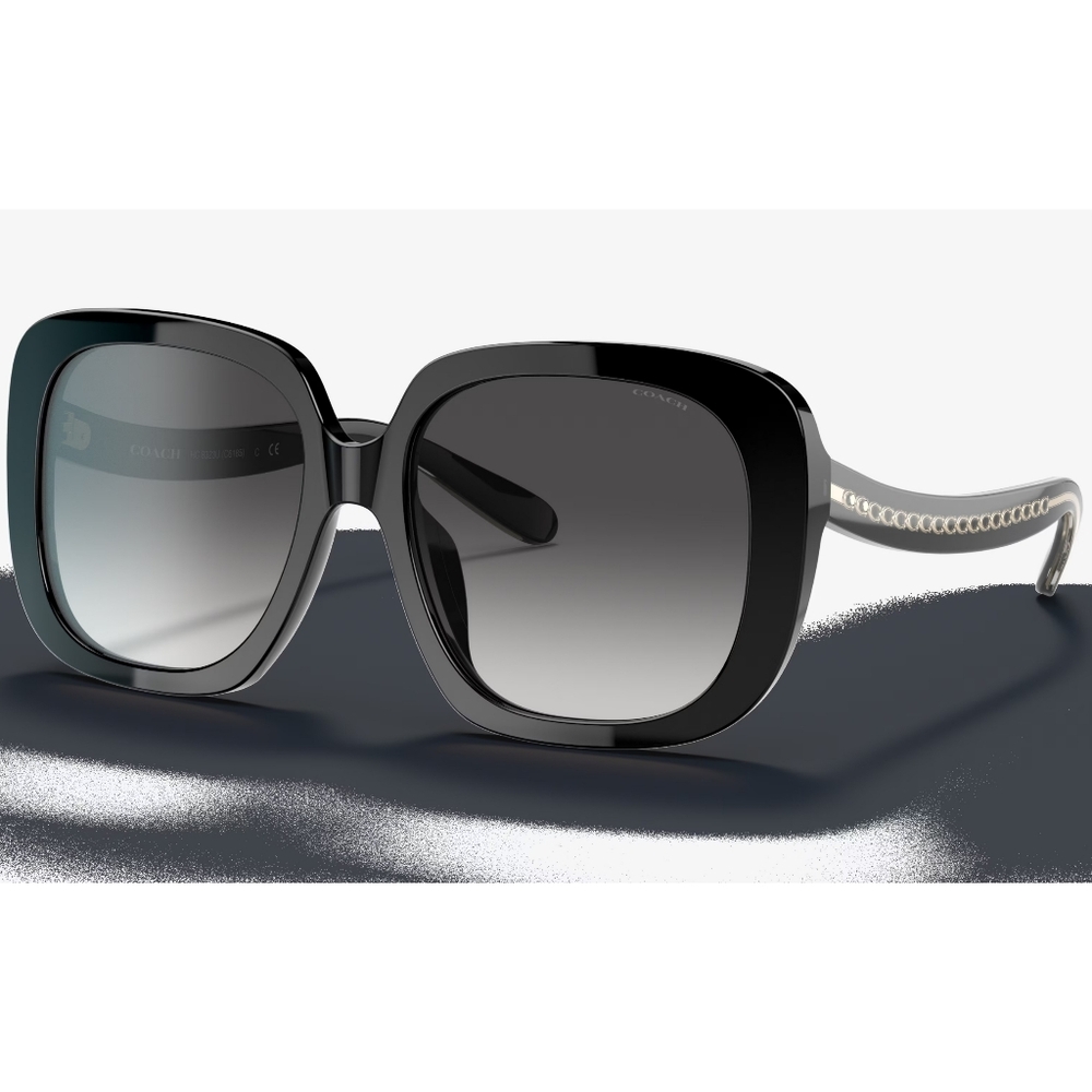 Brand NEW Coach Sunglasses
